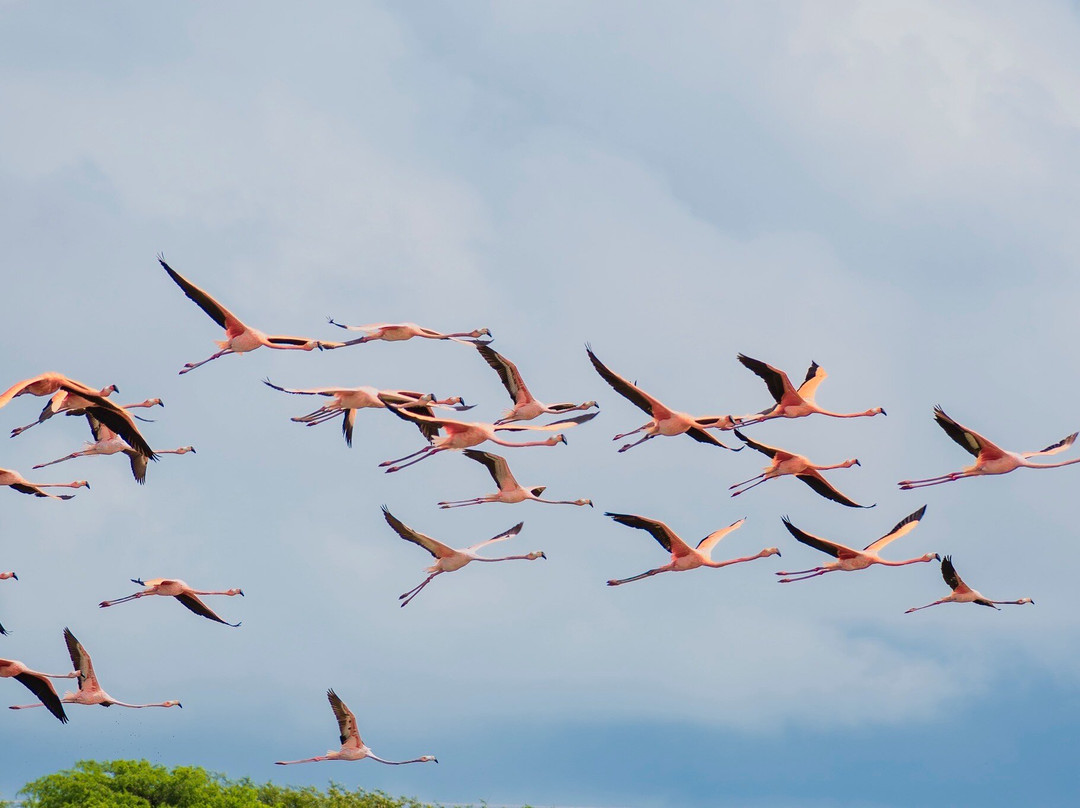 Santuario de Fauna & Flora-Camarones必去景点