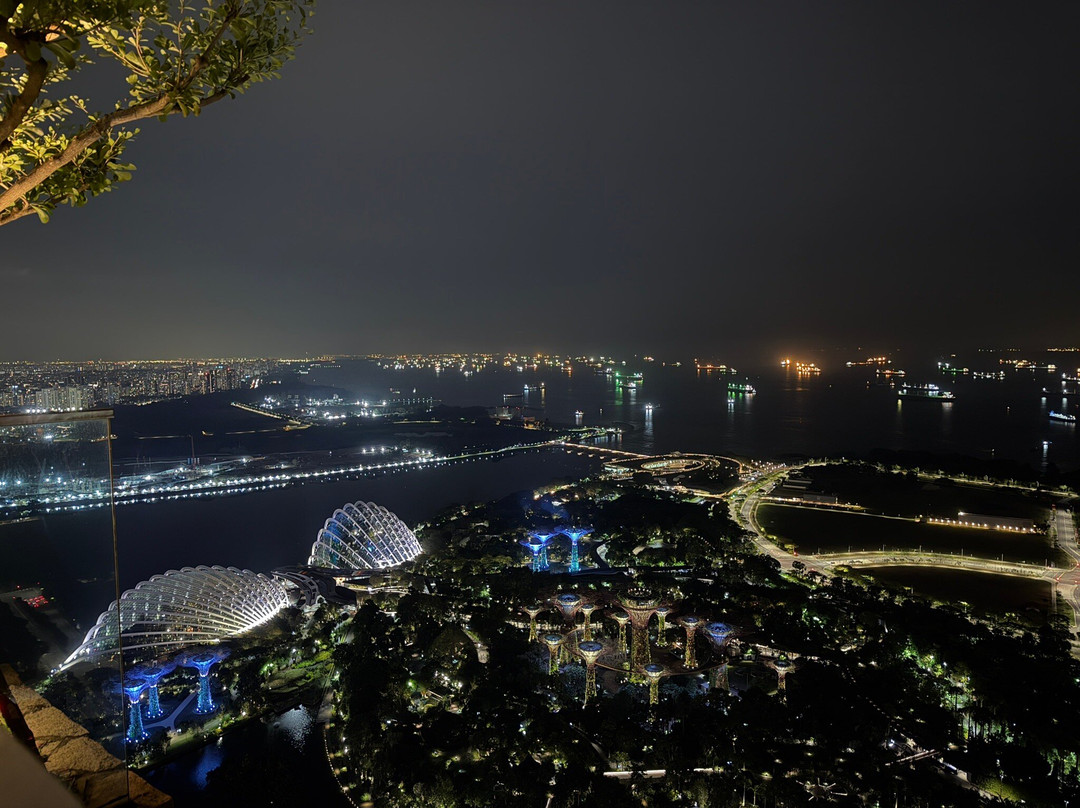 LAVO Italian Restaurant & Rooftop Bar