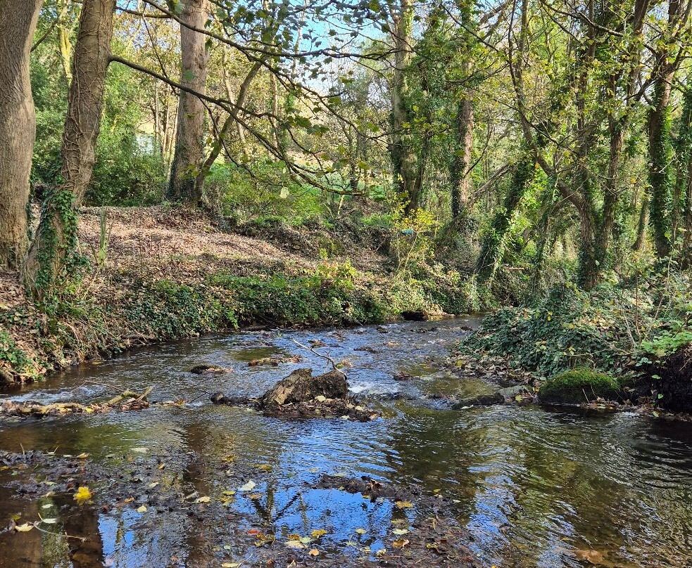 Mousehole to Lamorna Cove Circular Walk-Mousehole必去景点