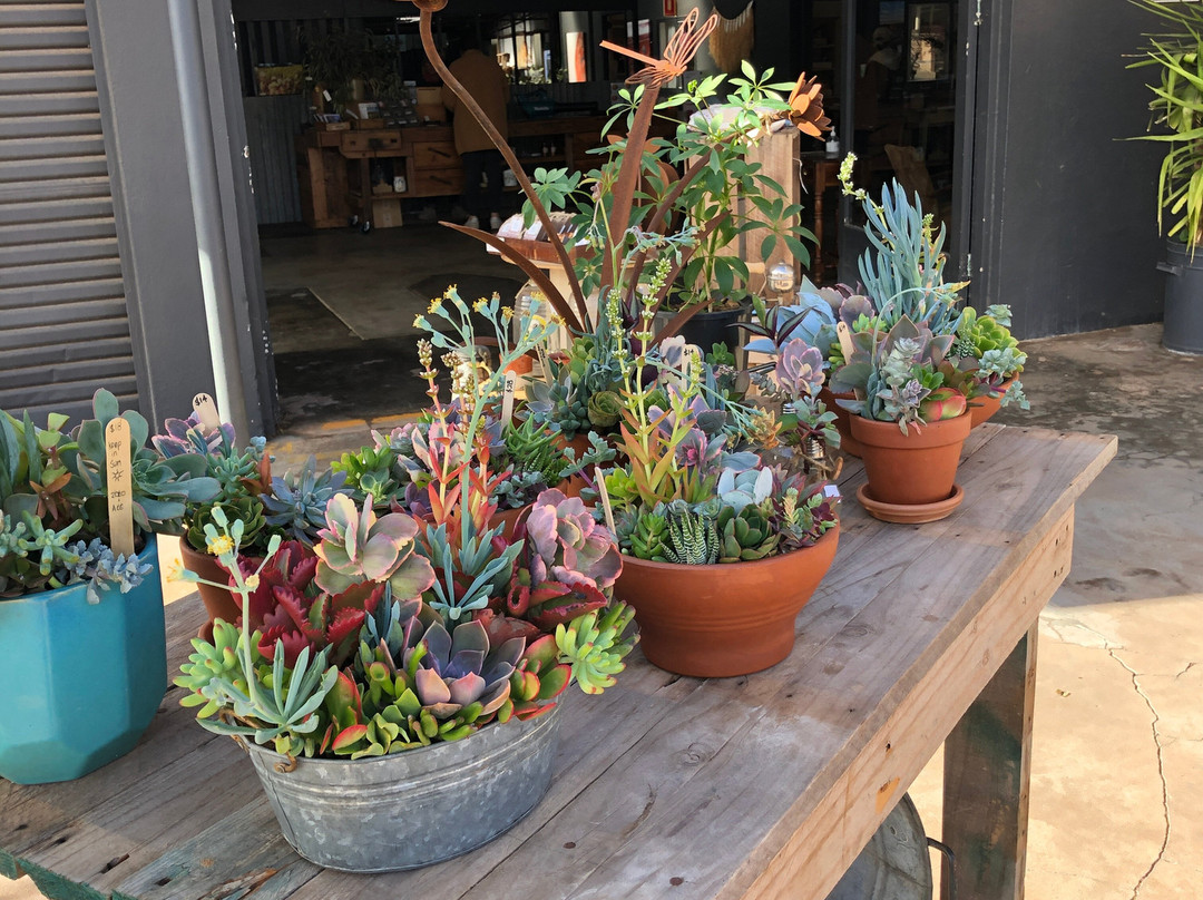 WORKSHOP 26-Kimba必去景点