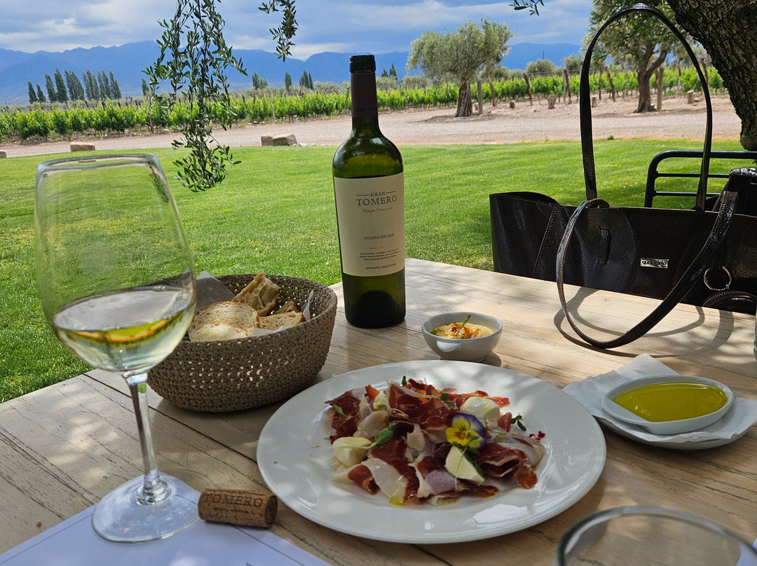 Bodega Vistalba-路冉得库约必去景点