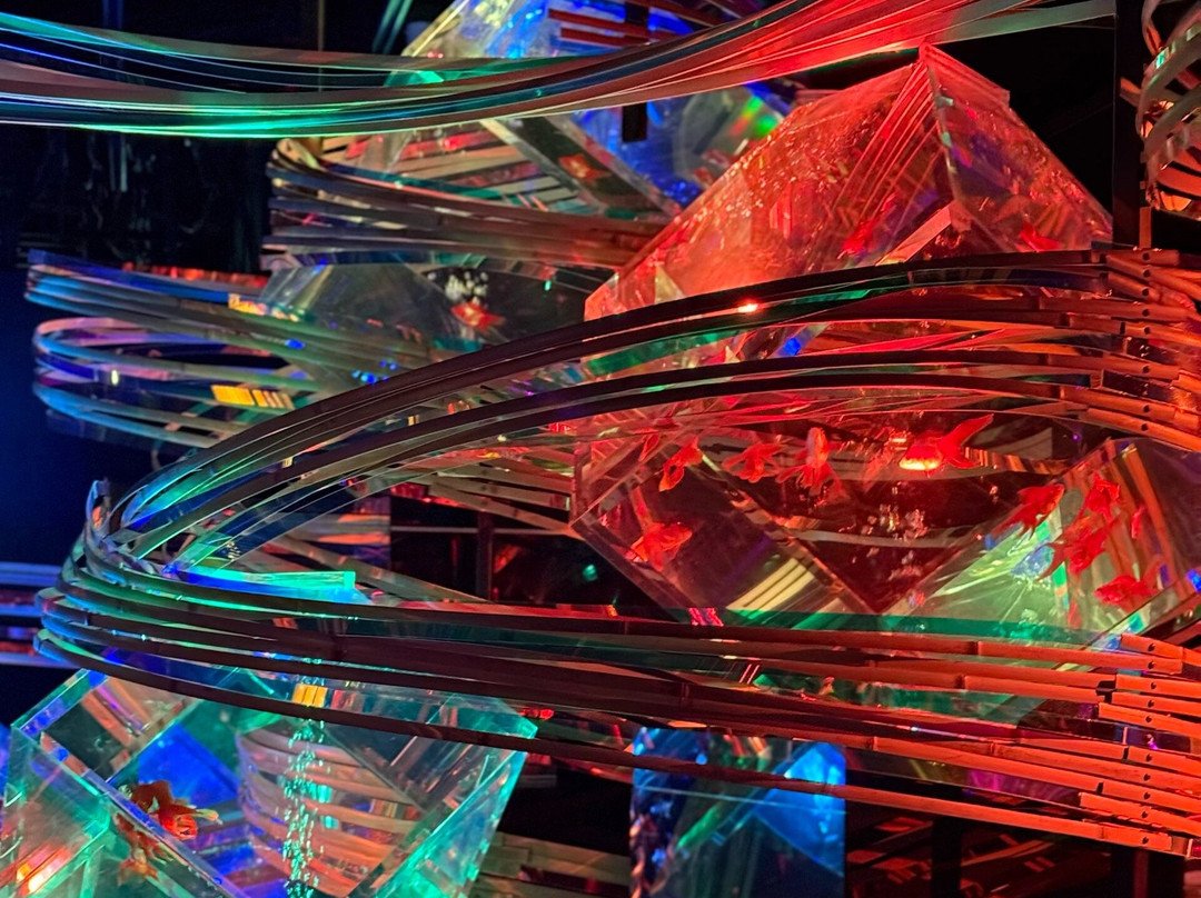 Art Aquarium-Ginza必去景点