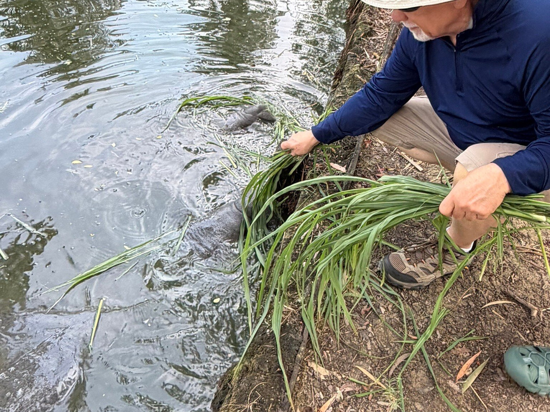 Guyana National Park-乔治城必去景点