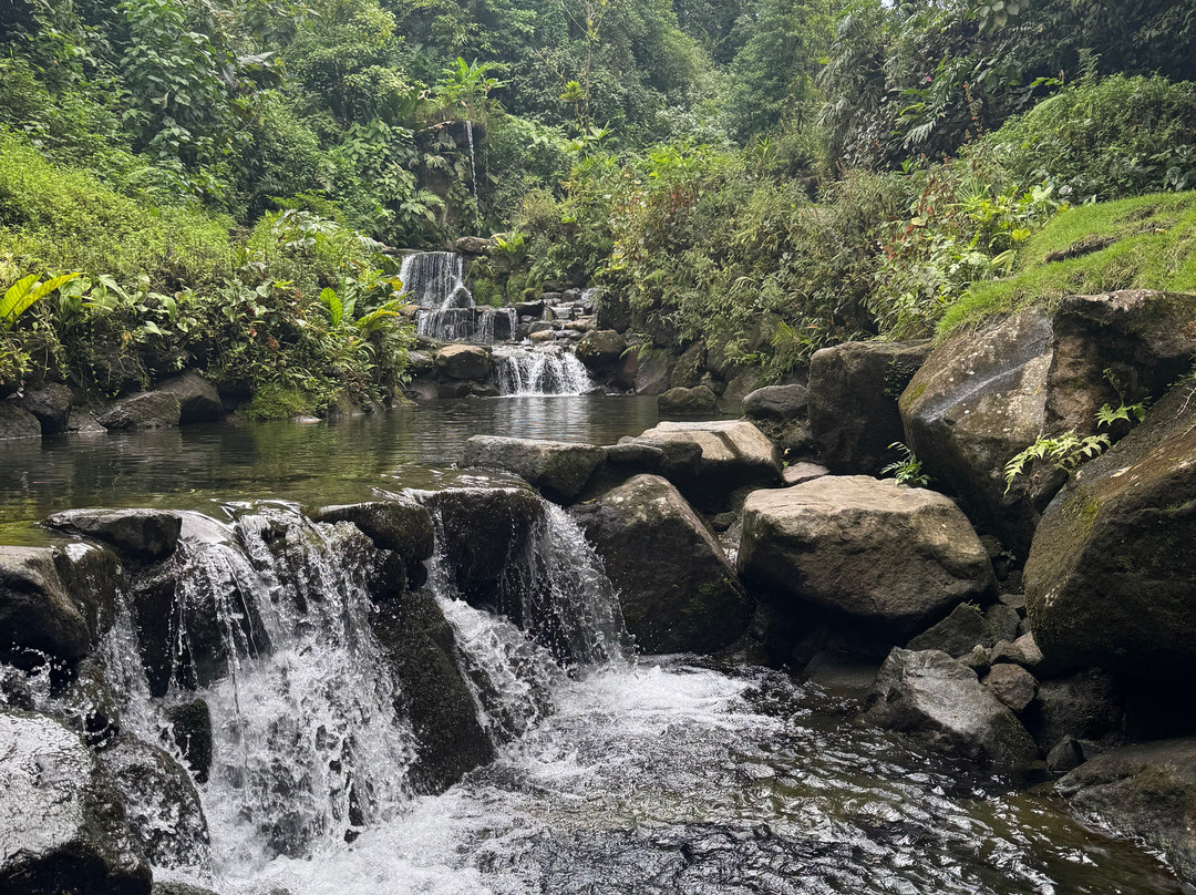 Kurú Natural Springs-福德圣卡洛斯必去景点