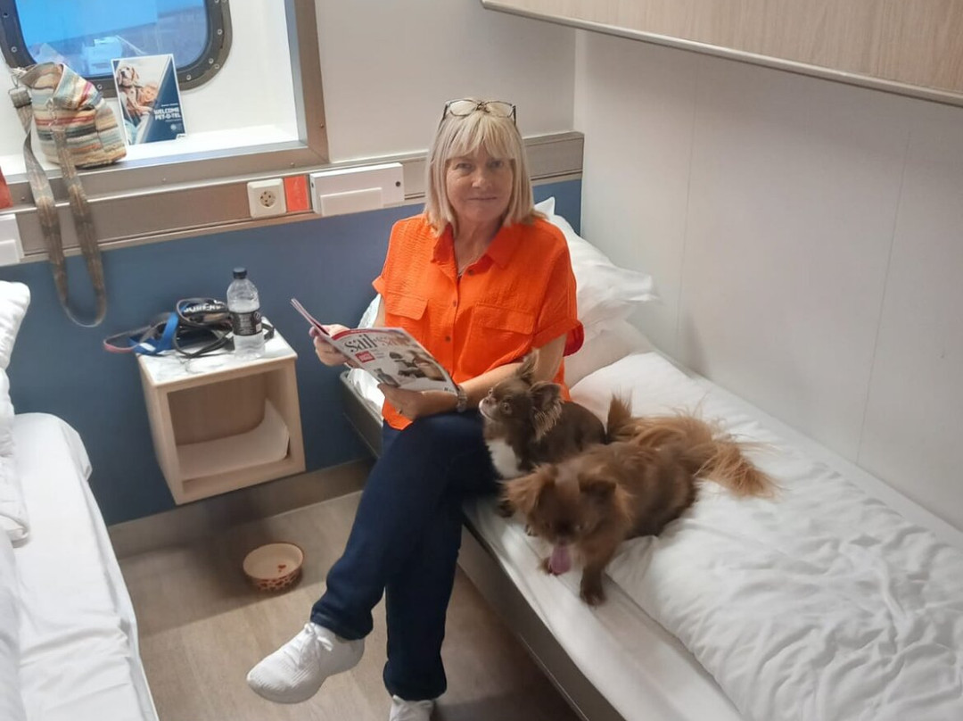 DFDS Seaways-Ijmuiden必去景点