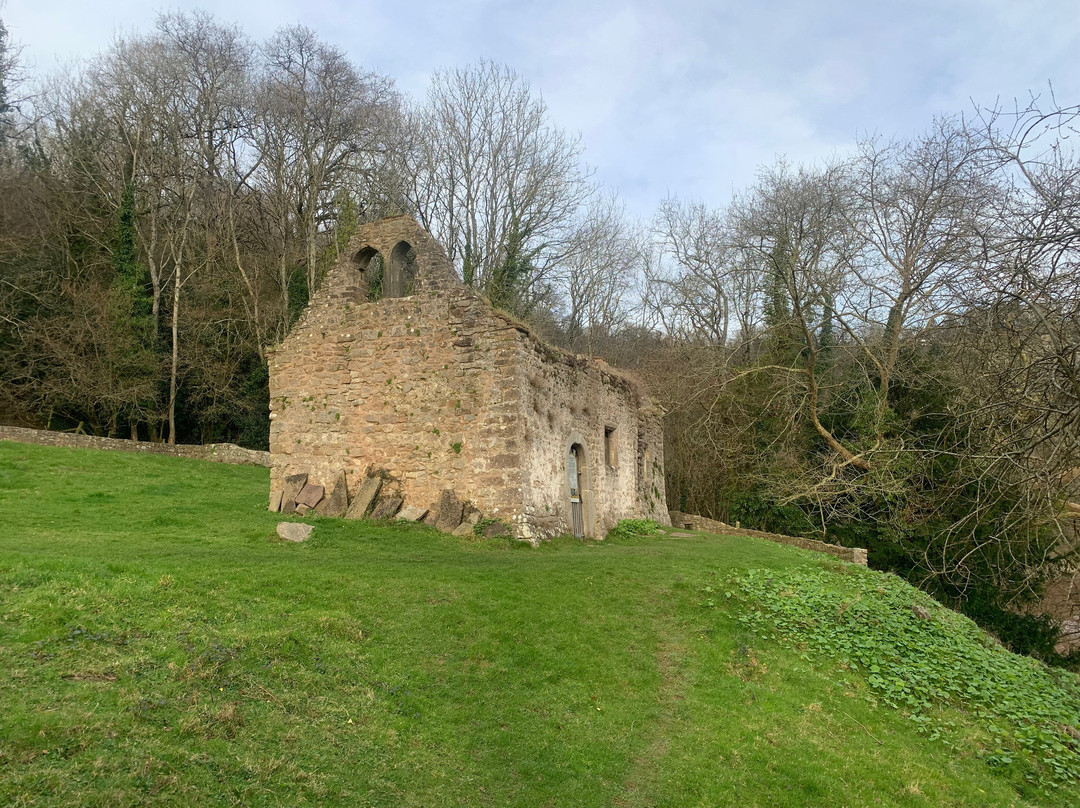 Lancaut Nature Reserve-切普斯托必去景点