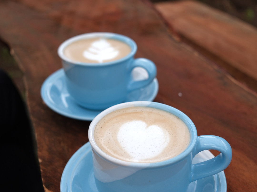 Micofam Lombok Coffee-Sapit必去景点