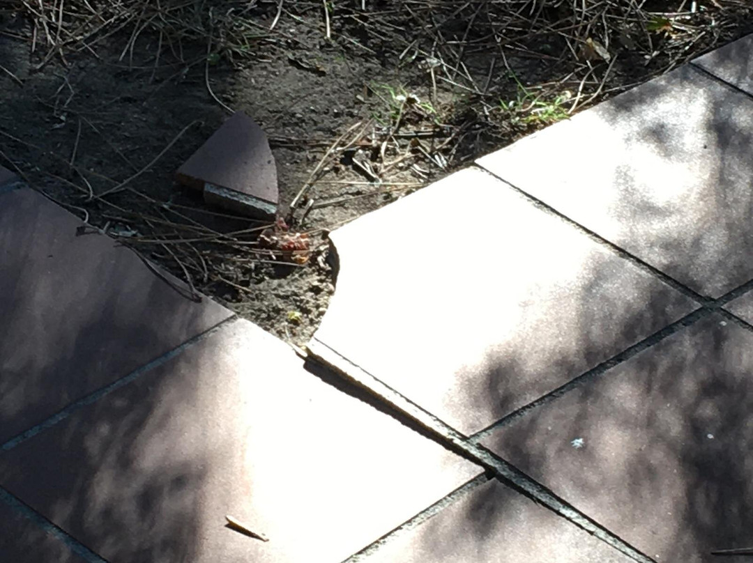 Colonna Hotel Du Golf主图