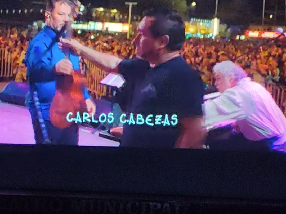 Teatro Municipal-Vicuna必去景点