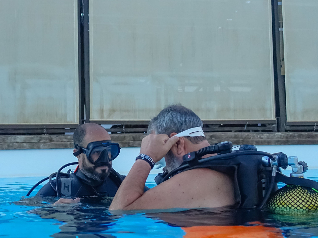 Liquid Planet Dive Centre-卡拉罗港口必去景点