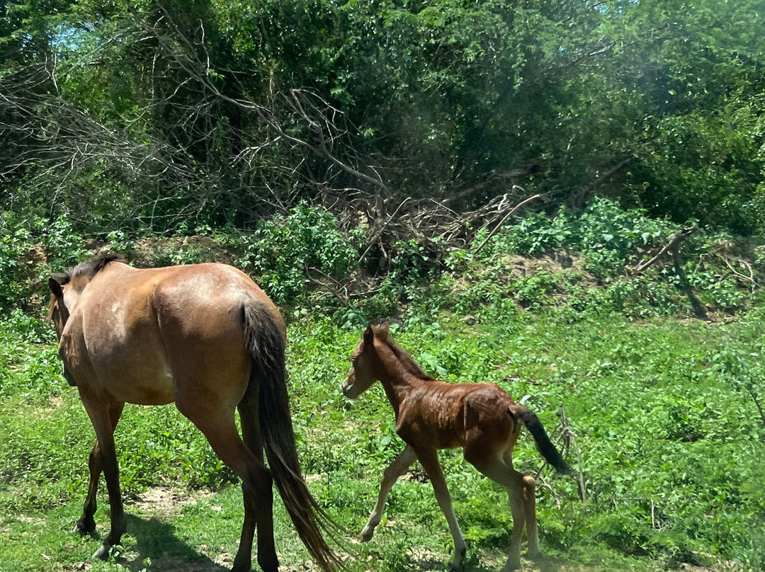 Casa de Amistad主图