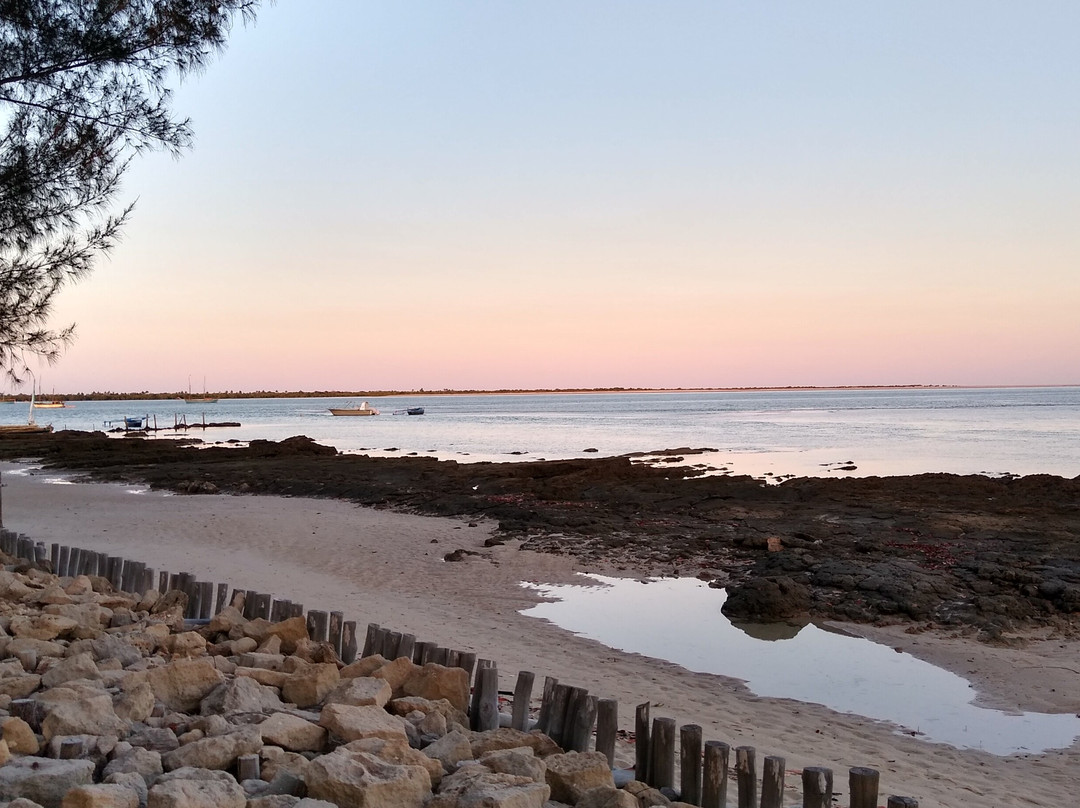 Ecolodge Du Menabe主图