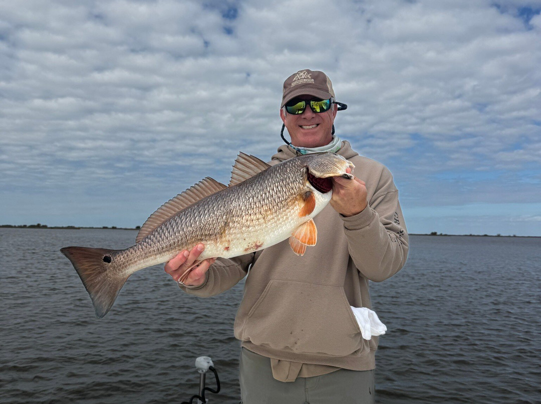 Bayou Charters-Saint Bernard必去景点