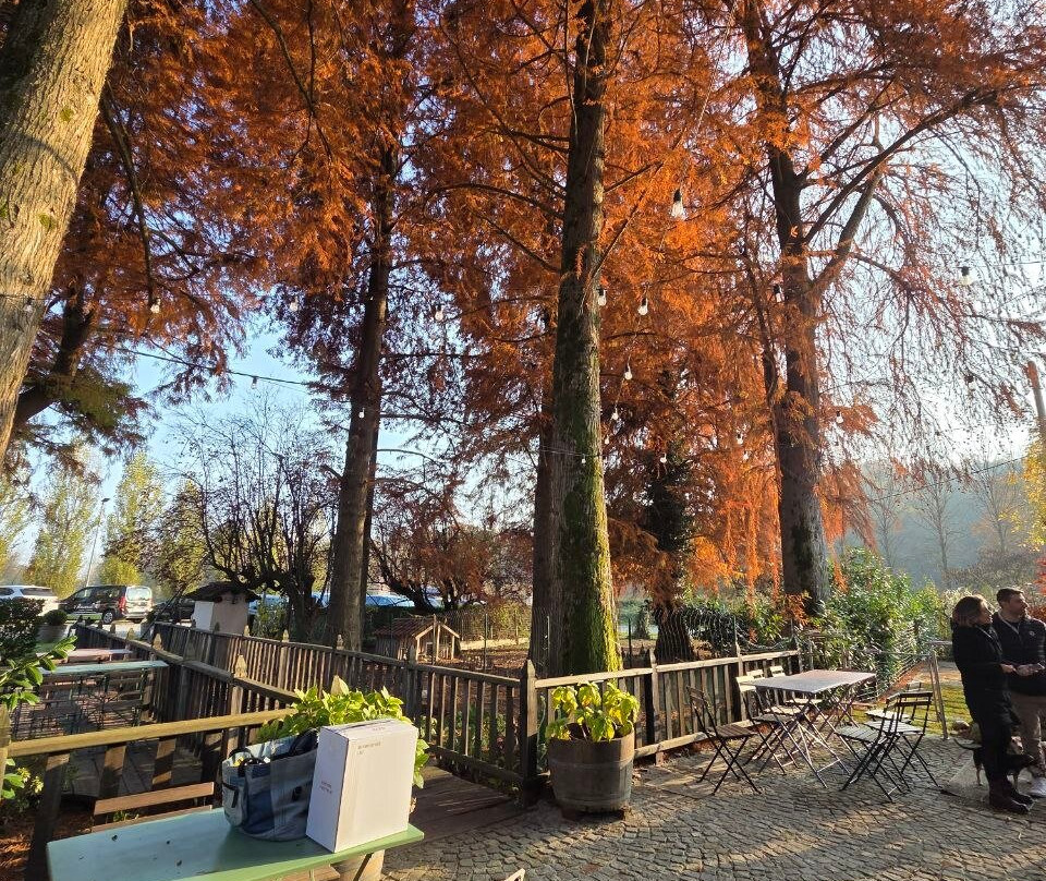 Pierino Vellano - la Cantina di Ca' San Sebastiano-Camino必去景点