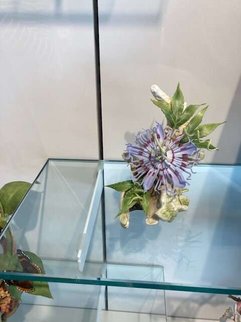 National Botanical Garden of Georgia-第比利斯必去景点