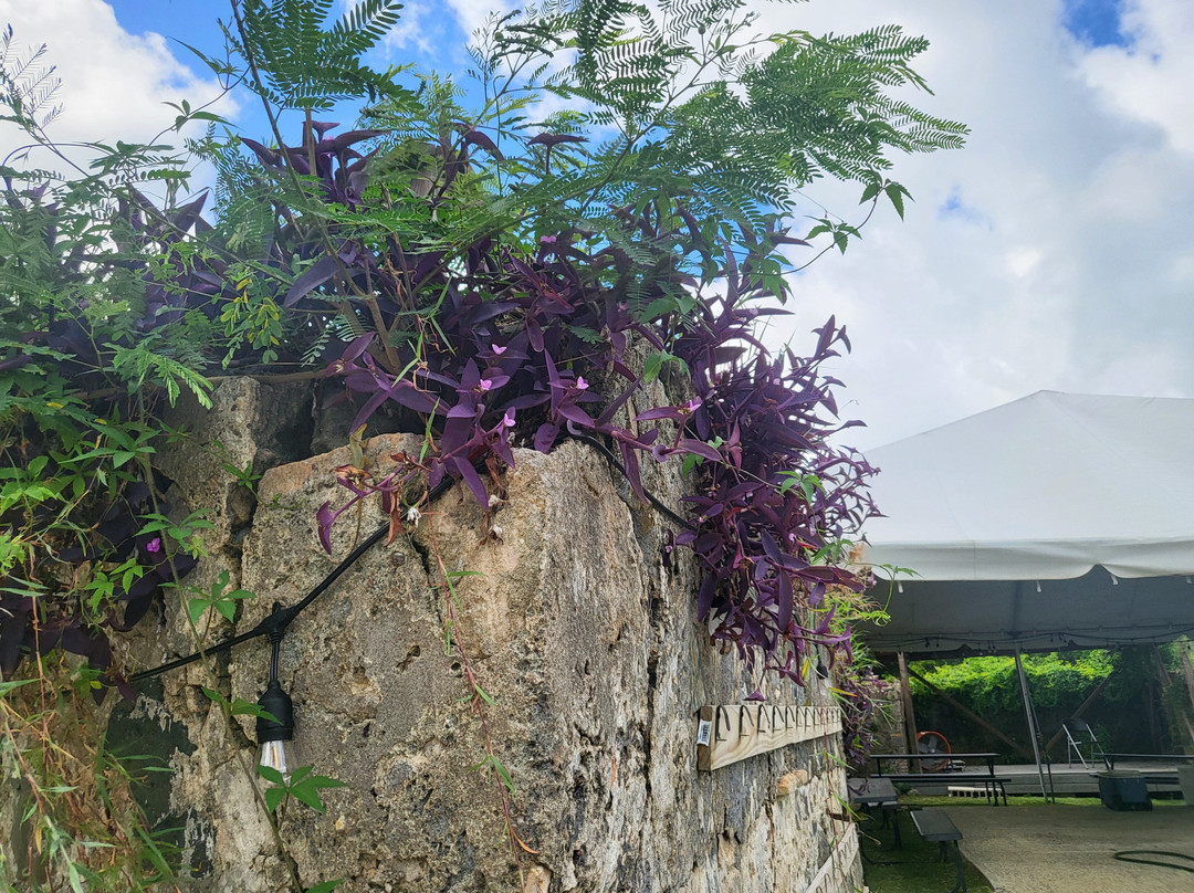 Estate Whim Museum-Frederiksted必去景点