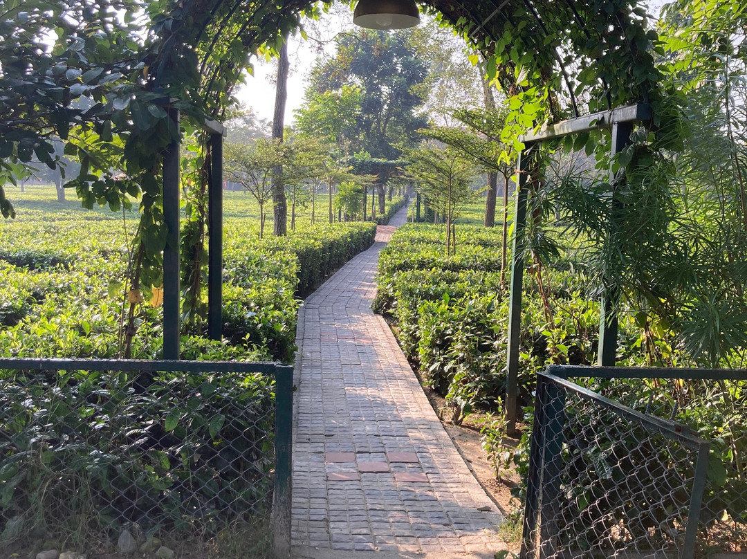 MAYFAIR Tea Resort主图