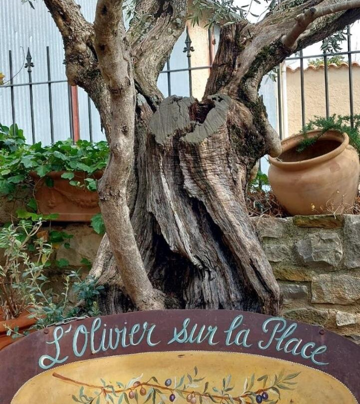 L Olivier sur la Place