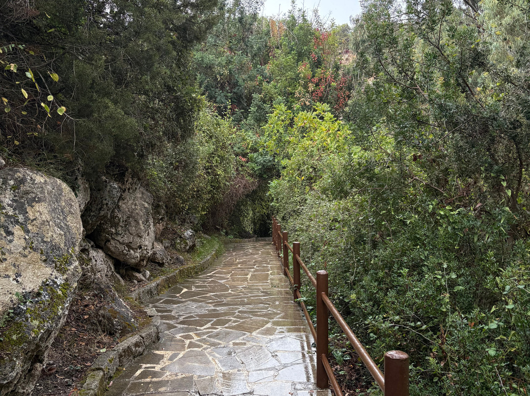 Baths of Aphrodite-Neo Chorion必去景点