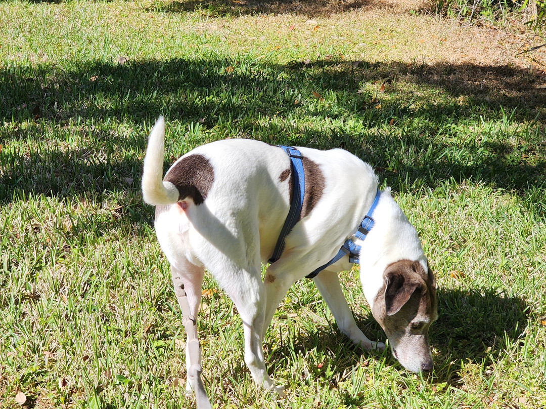 Staybridge Suites Tampa East - Brandon by IHG主图