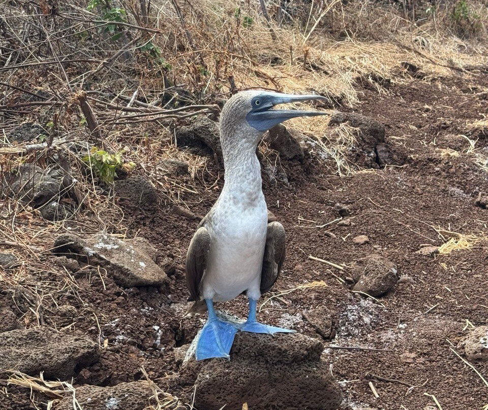 Ecuador Wonders Tour Operator-基多必去景点