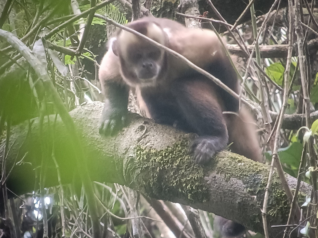Peru Amazon Expeditions-Manu必去景点