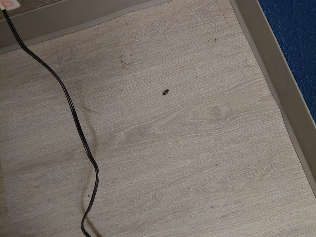 Comfort Inn Asheville Airport主图