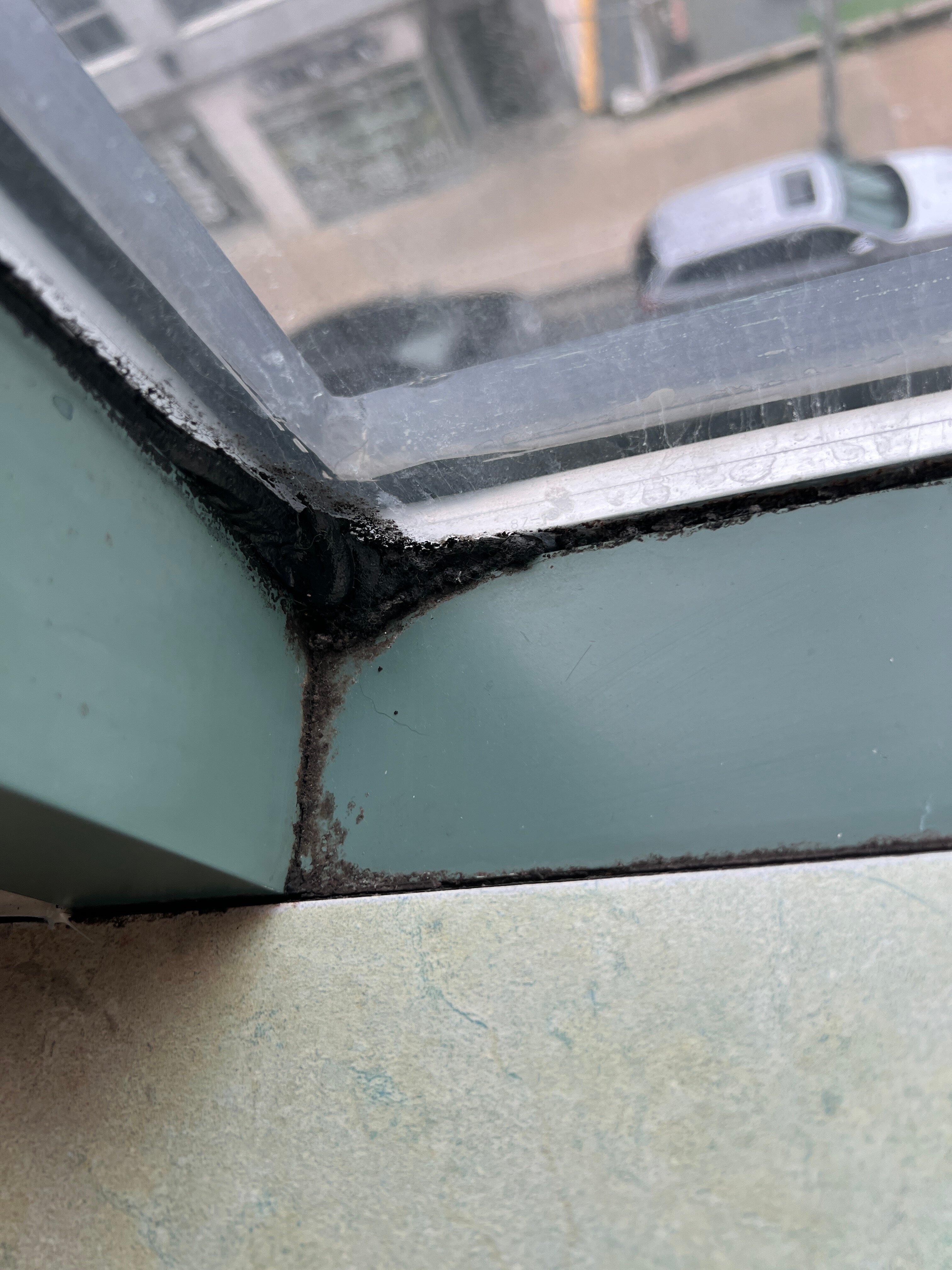 Cambridge Suites - Halifax-客卧