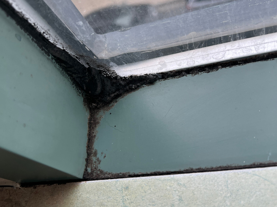 Cambridge Suites - Halifax主图