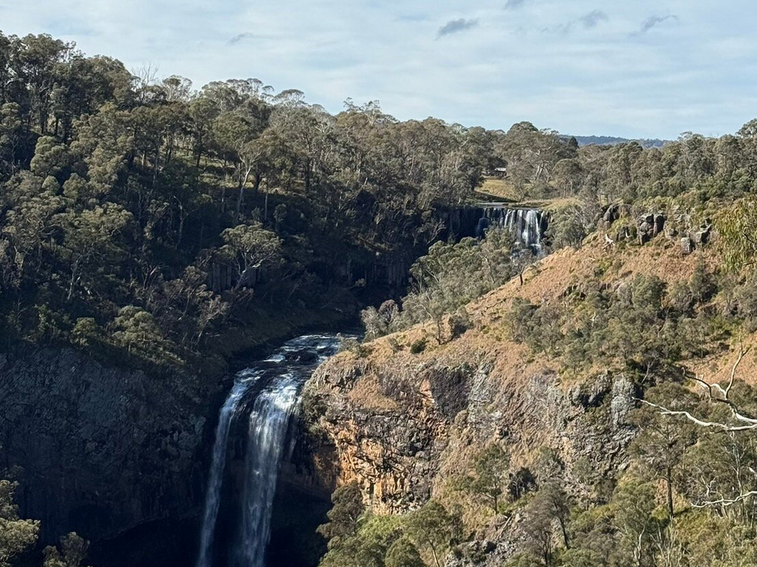 Wollomombi Falls-阿米代尔必去景点