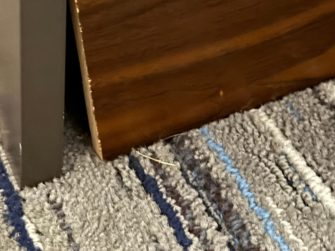 Holiday Inn Express & Suites Texarkana By IHG主图