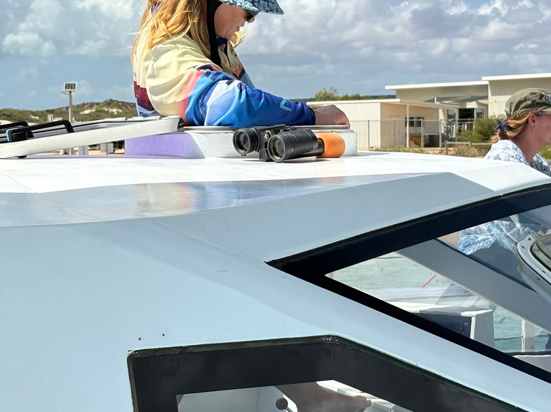 Perfect Nature Cruises-Monkey Mia必去景点