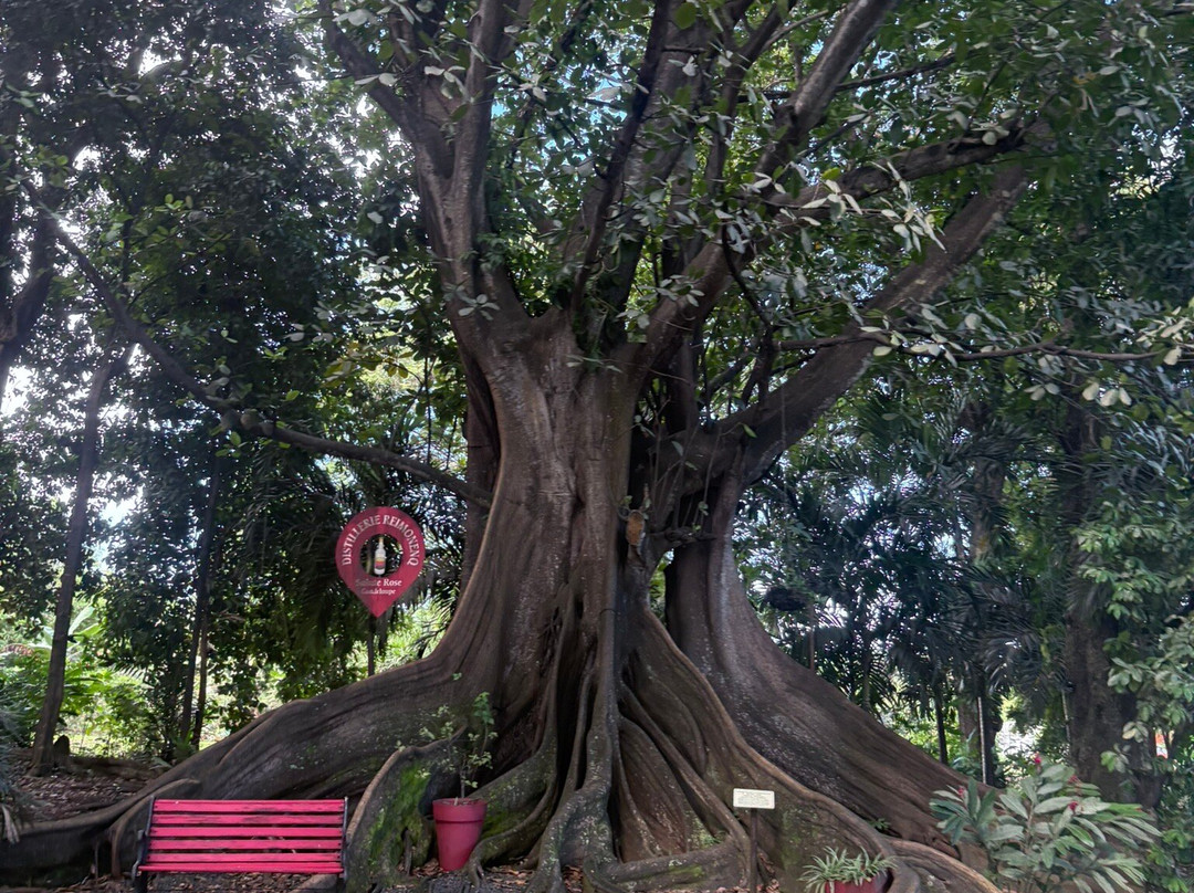 Musee du Rhum-Sainte Rose必去景点