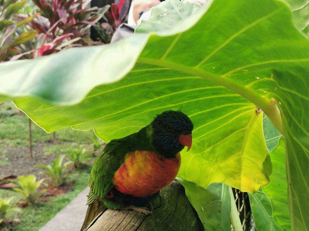 Jardin Botanique de Valombreuse-Petit-Bourg必去景点