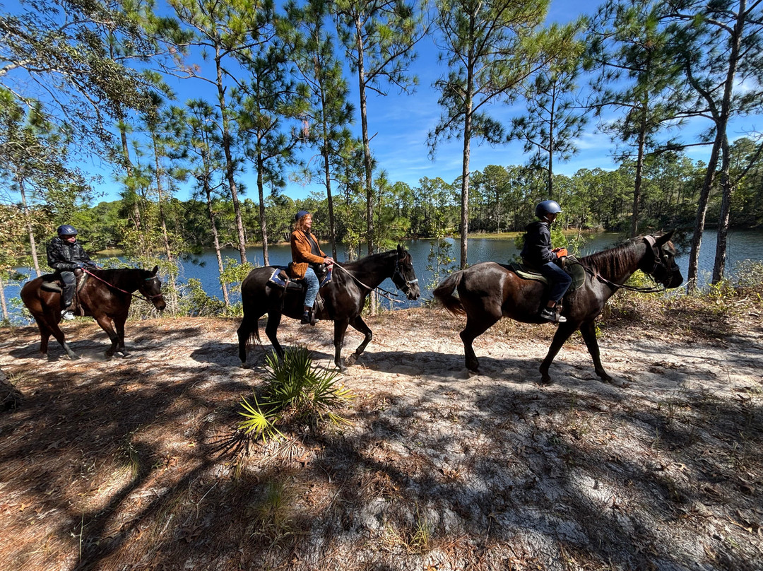Florida Agricultural Museum-棕榈海岸必去景点
