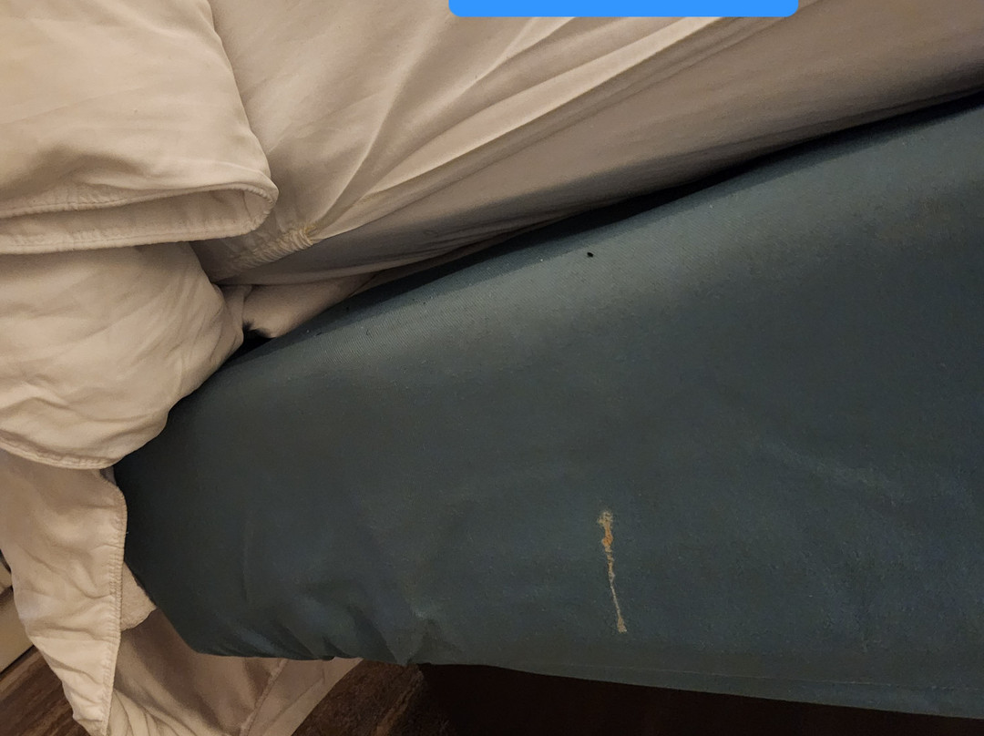 Hilton Garden Inn Olive Branch主图