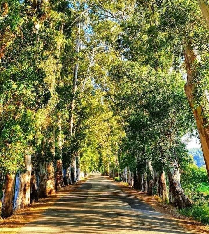 Akyaka Aşıklar Yolu-穆拉必去景点