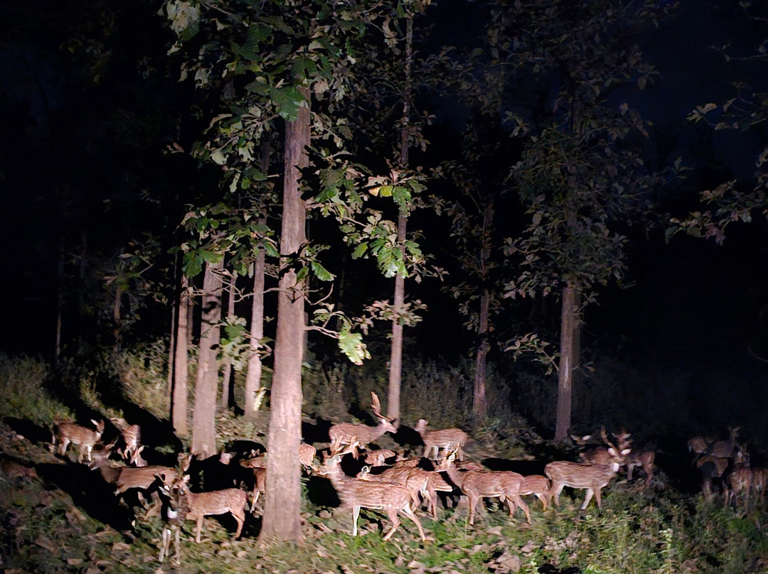 Mystery Maze Resort and Spa主图