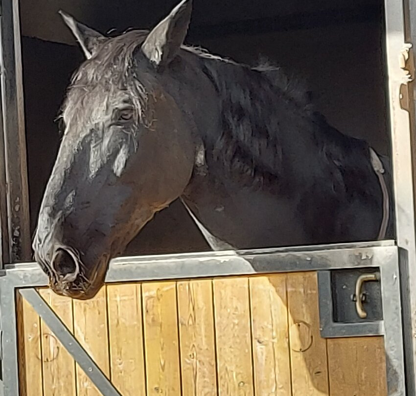 瓦伦蒂诺公园-都灵必去景点