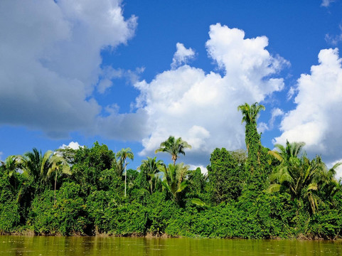 Dracaena Explorations-基多必去景点