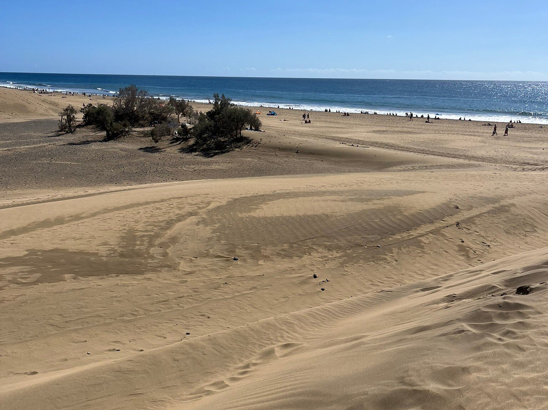 Bungalows Parque Bali主图