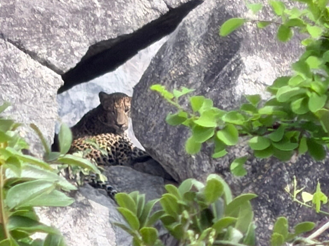 Driver Sri Lanka T-Two-奴娃拉伊利雅必去景点