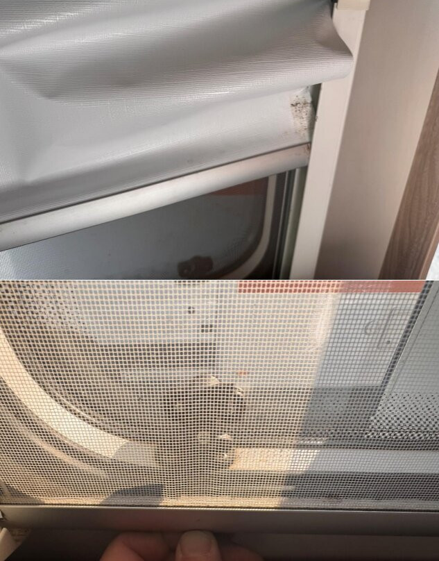 Indie Campers-Povoa de Santa Iria必去景点