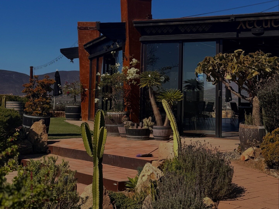 Xecue Vinicola-Valle de Guadalupe必去景点