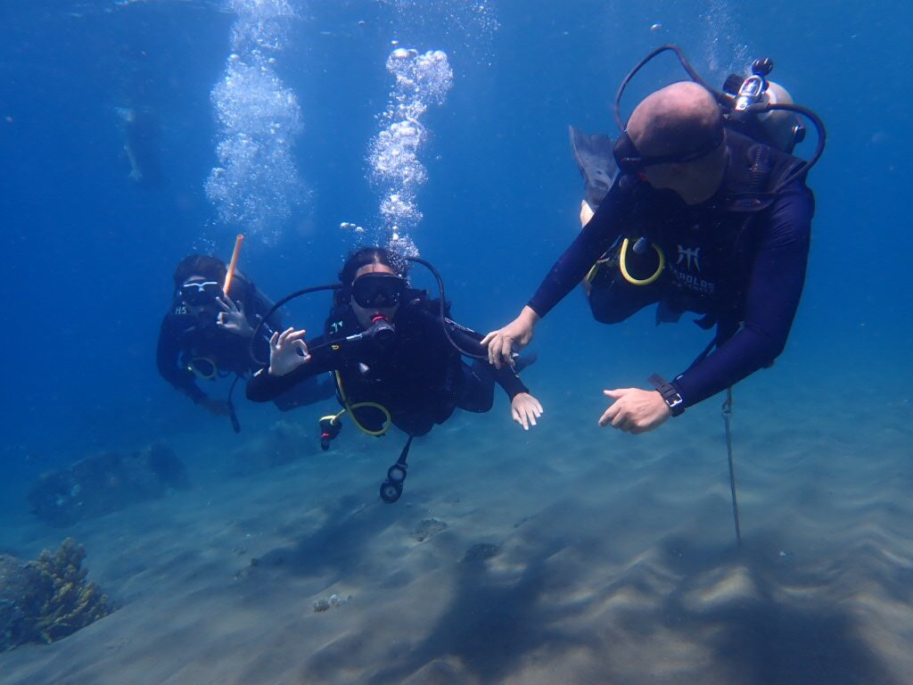 哈罗德潜水中心-杜马盖地必去景点