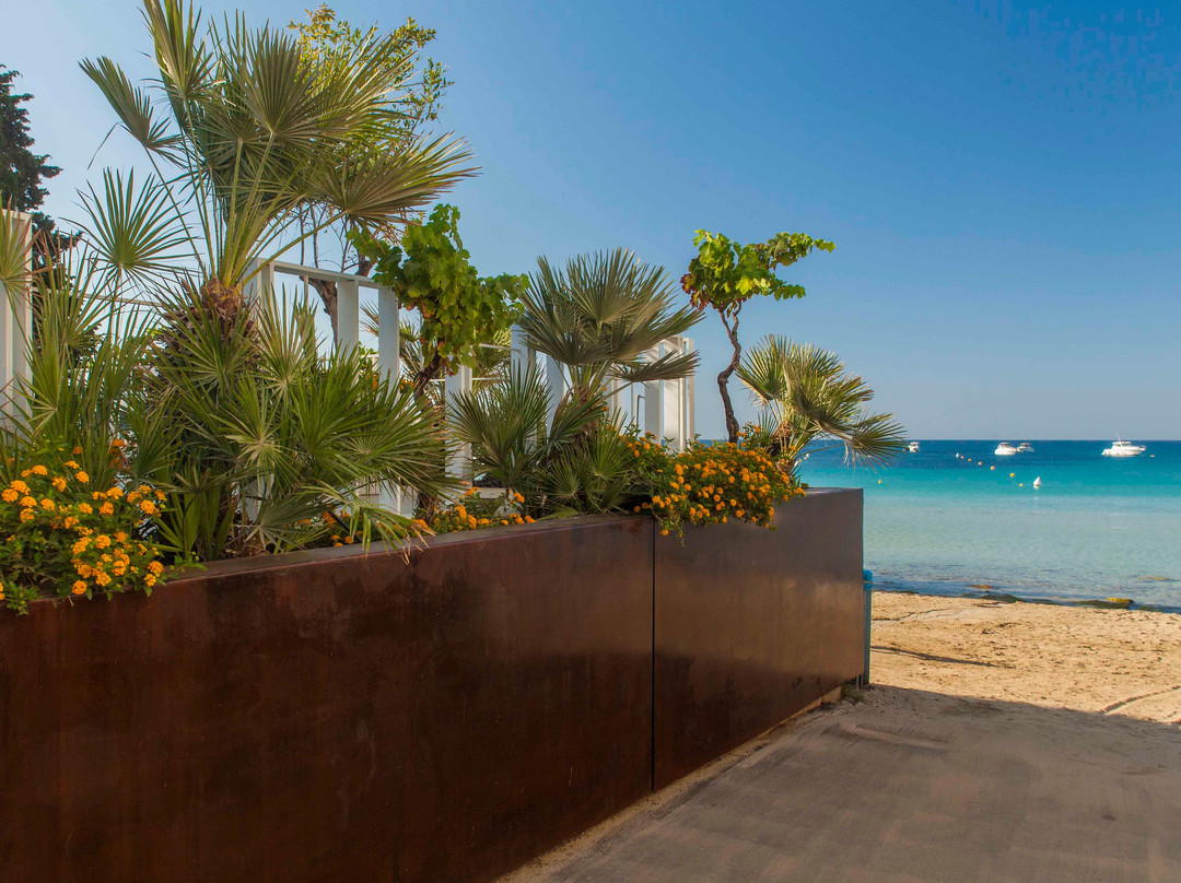 Calapetra Resort主图