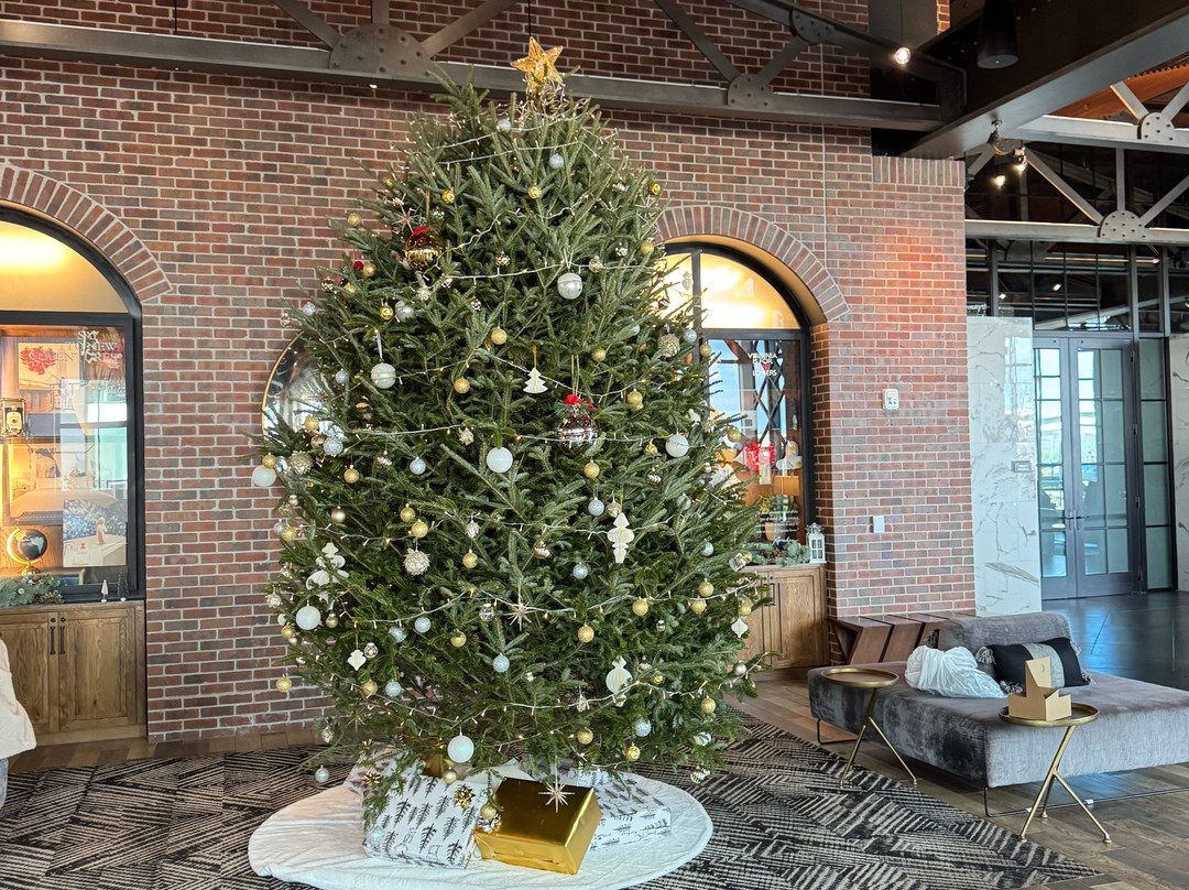 Archer Hotel Tysons主图