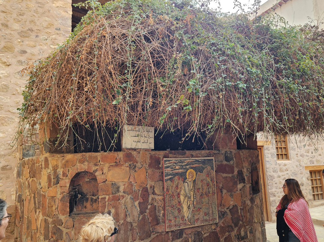 Vova Tours-沙姆沙伊赫必去景点