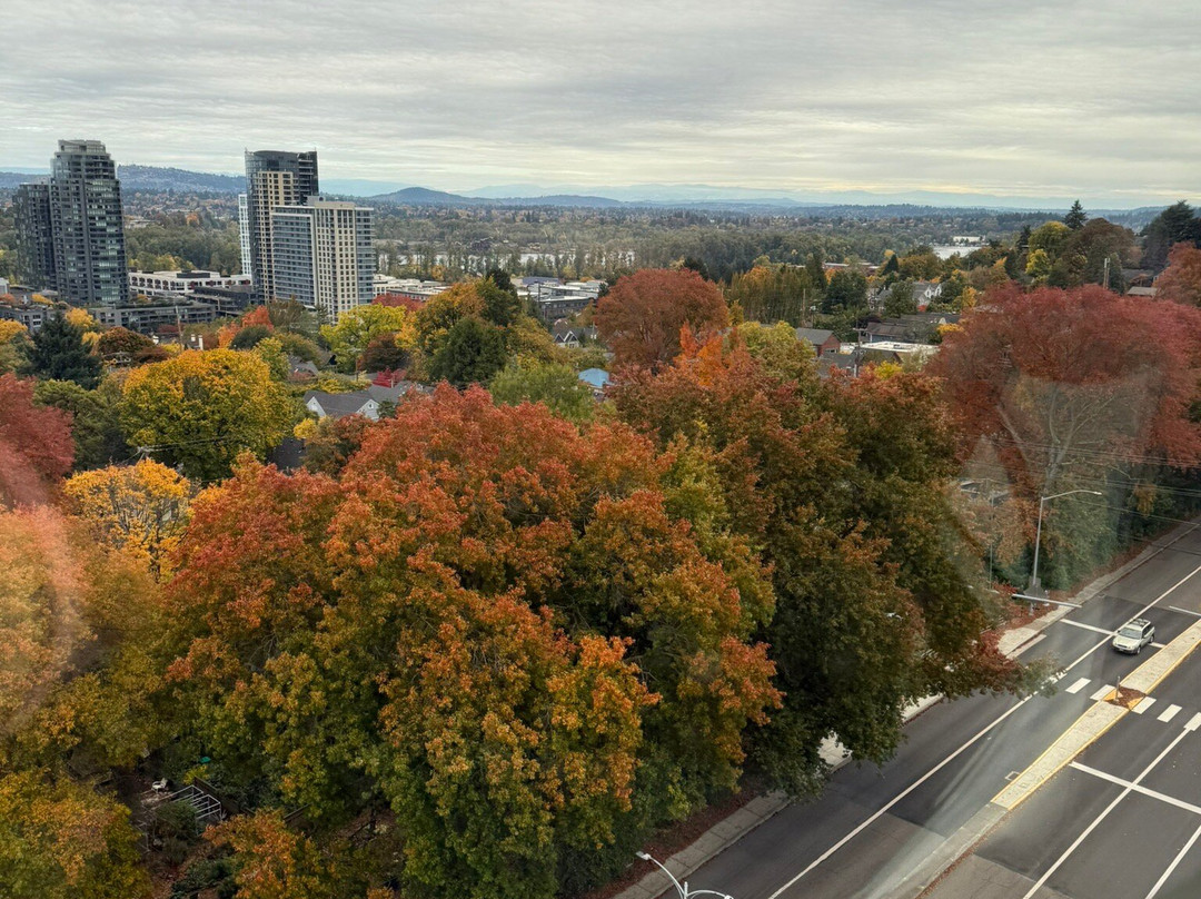 波特兰空中缆车-波特兰必去景点