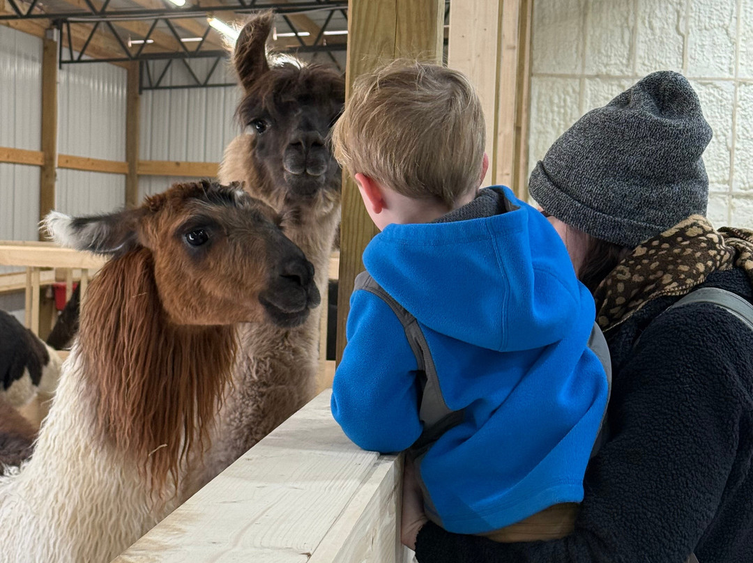 Ellaberry Llama Farm-亨德森维尔必去景点